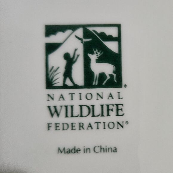 National Wildlife Federation Bird Bowls Set of 4 – 8" Soup/Cereal Songbird Green - Picture 8 of 8